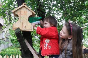 Крылатые гости