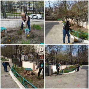 Работники школы посадили цветы