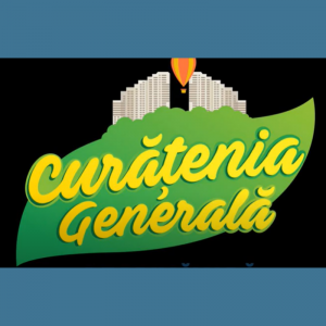 Procesul de organizare și desfășurare a acțiunilor de salubrizare și amenajare a teritoriului în LT„T.Maiorescu” sectorul Centru