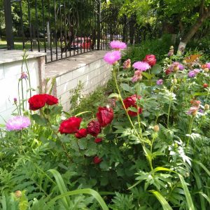 Школа ждет своих учеников.