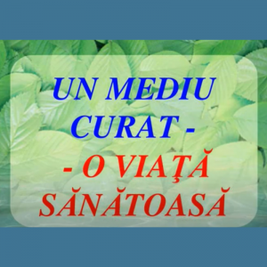 Colectivul din cadrul LT.”T.Maiorescu” face față provocărilor și menține teritoriul curat și îngrijit