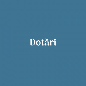 Asigurarea bazei tеhniсo – mаtеriаlе pentru perioada 01.01.2021-31.10.2021