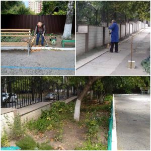 Осеннее облагораживание школьного участка