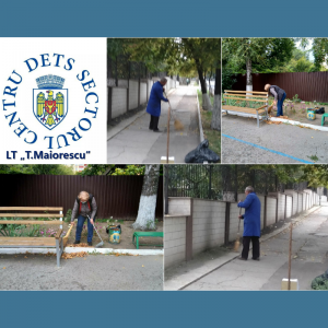 Procesul de organizare și desfășurare a ”Campaniei de salubrizare de toamnă”