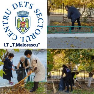 Procesul de organizare și desfășurare a ”Campaniei salubrizarea de toamnă” în LT”T.Maiorescu”