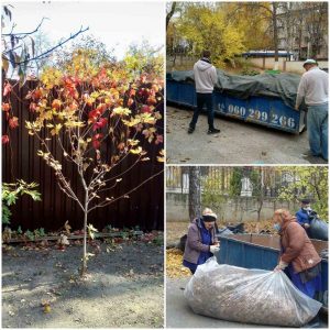 Осенняя уборка территории лицея продолжается