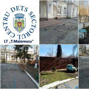 Implicarea activă în procesul de salubrizare a teritoriilor aferente și adiacente instituției