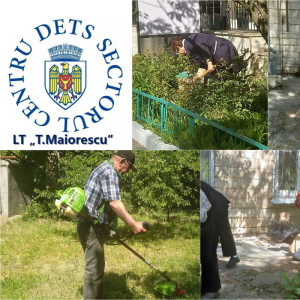 Procesul de salubrizare și cosire a ierbii în cadrul LT”T.Maiorescu” din sectorul Centru
