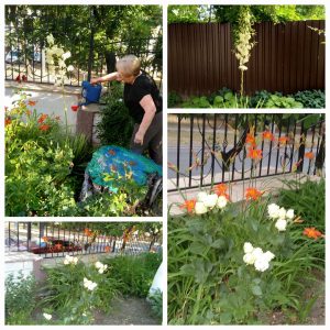 Пейзажные зарисовки