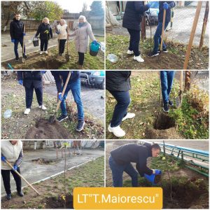 Campania de înverzire și plantare a arborilor in Liceul Teoretic Titu Maiorescu