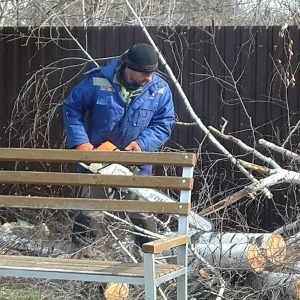 Очистка зелёных насаждений