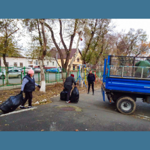 Lucrări de întreținere în stare salubră a teritoriilor instituțiilor de învățământ din sector