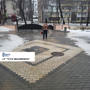 Combaterea poleiului pe teritoriile instituțiilor educaționale din sectorul Centru